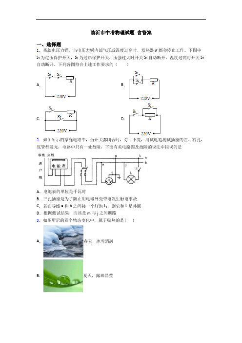 临沂市中考物理试题 含答案