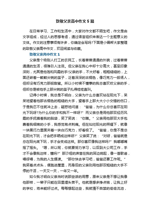 致敬父亲高中作文5篇