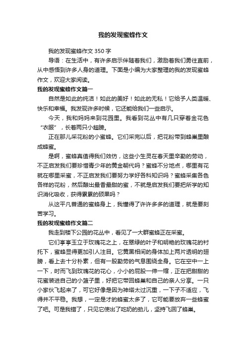 我的发现蜜蜂作文350字