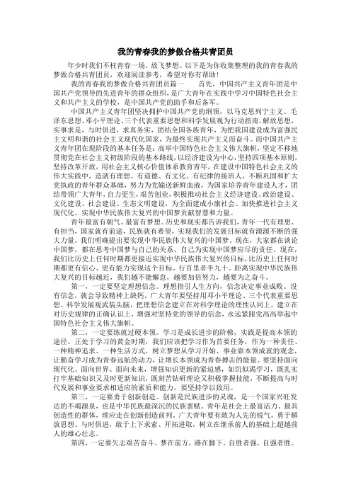 我的青春我的梦做合格共青团员