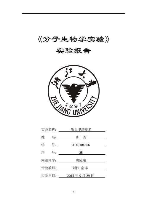 【3】蛋白印迹技术(分子医学实验).docx