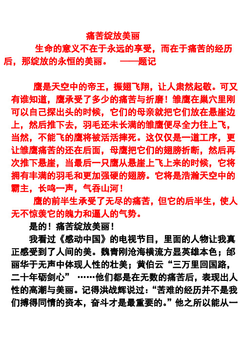 痛苦绽放美丽