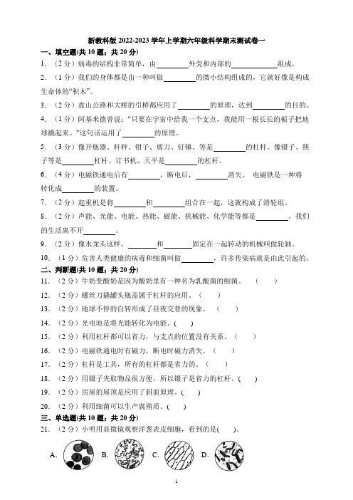 2022-2023学年上学期六年级科学期末检测卷一(新教科版,含答案)