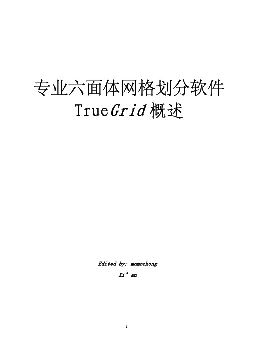 专业六面体网格划分软件TrueGrid概述