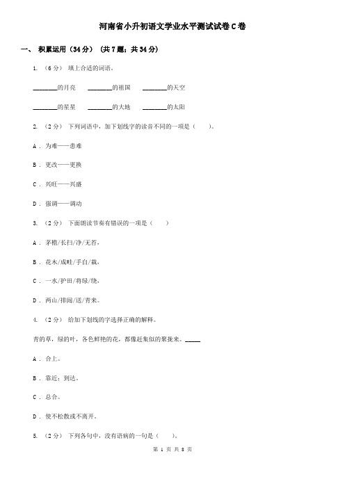 河南省小升初语文学业水平测试试卷C卷