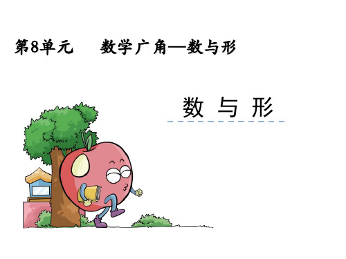 人教版《数学广角数与形》ppt1