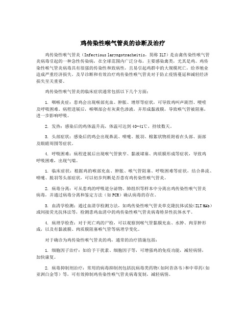 鸡传染性喉气管炎的诊断及治疗