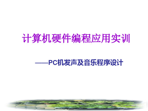 计算机硬件编程应用实训1