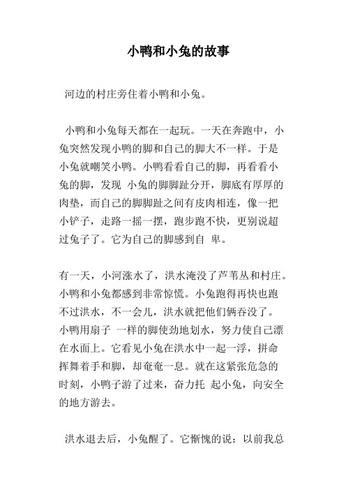 小鸭和小兔的故事