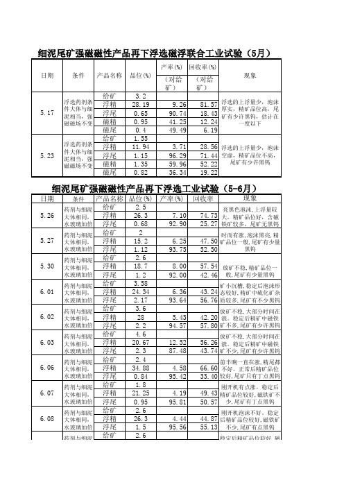 黑钨细尾矿强磁试验(2011年5-6月)