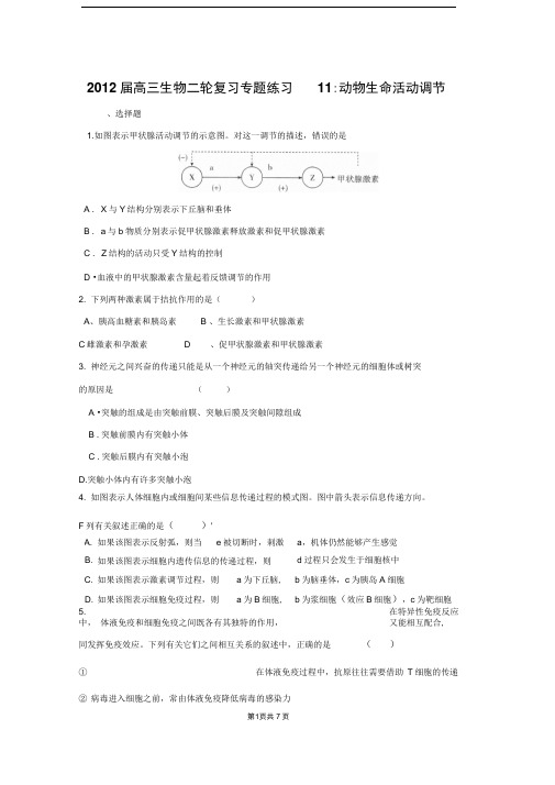 高中生物二轮复习专题练习11：动物生命活动调节