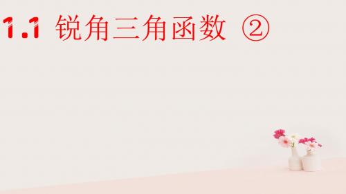 2018年秋九年级数学下册第一章解直角三角形1.1锐角三角函数②课件(新版)浙教版