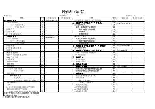 利润表(年报)