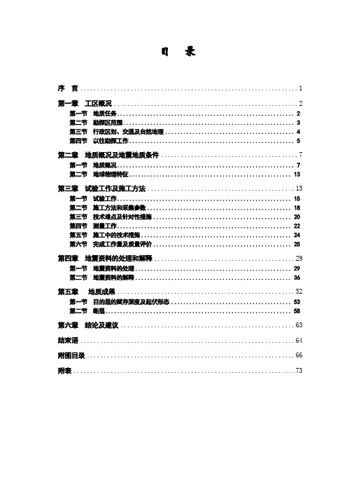 三维地震报告