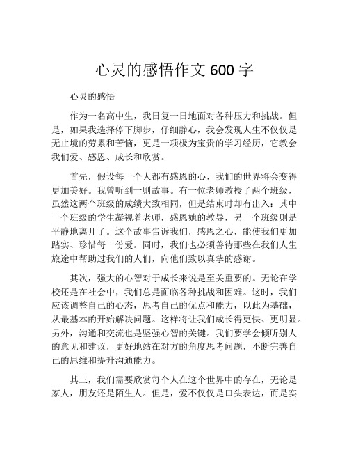 心灵的感悟作文600字