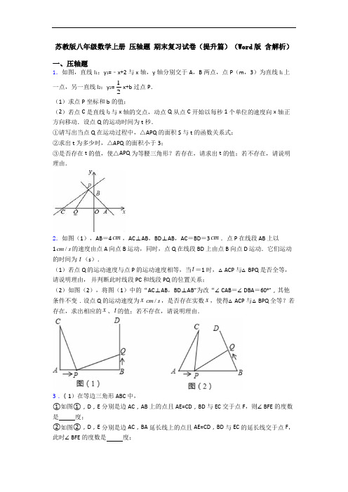 苏教版八年级数学上册 压轴题 期末复习试卷(提升篇)(Word版 含解析)