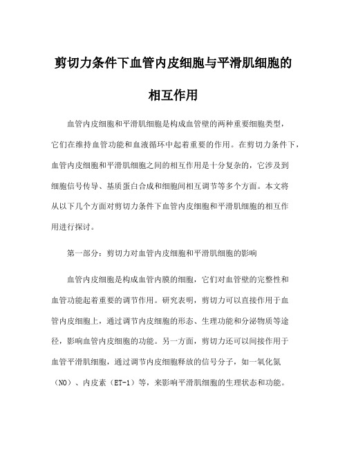 剪切力条件下血管内皮细胞与平滑肌细胞的相互作用