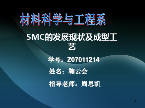 SMC的发展现状及成型工艺