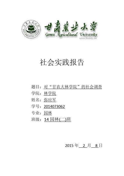 大学生社会实践心得体会