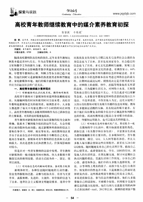 高校青年教师继续教育中的媒介素养教育初探