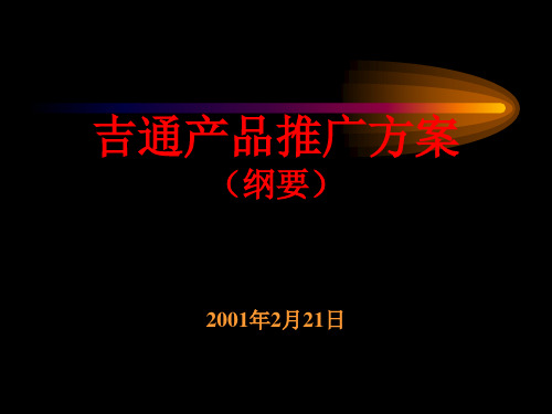 XX产品推广方案ppt课件