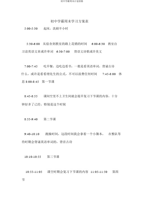 初中学霸周末计划表格