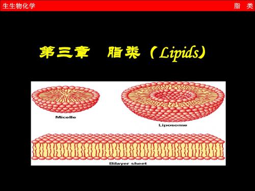 3 第三章脂类