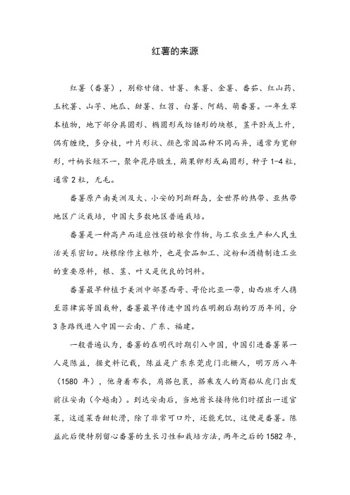 红薯又叫什么名字