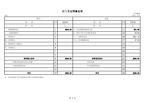 收入支出预算总表