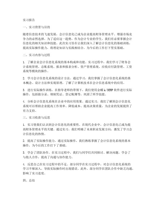 会计信息化基础训练实习报告