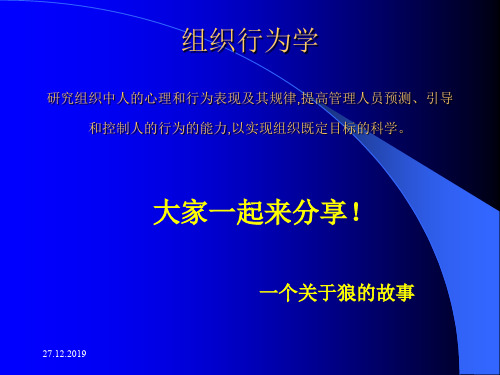 狼的组织行为学共30页文档