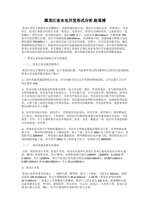 黑龙江省水电开发形式分析 赵禹博