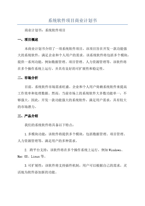 系统软件项目商业计划书