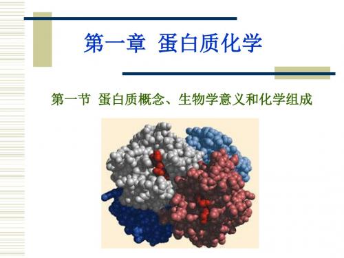 生物化学  蛋白质