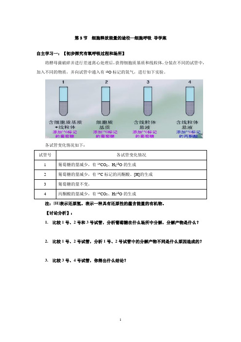 北师大版高中生物必修一 细胞呼吸导学案