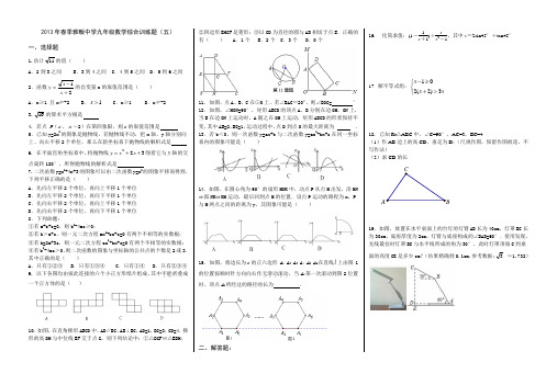 2013年春季雅畈中学九年级数学综合训练题5