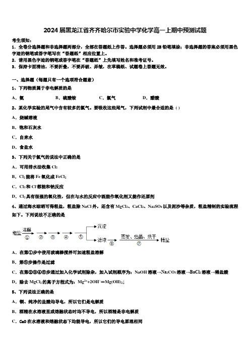 2024届黑龙江省齐齐哈尔市实验中学化学高一上期中预测试题含解析