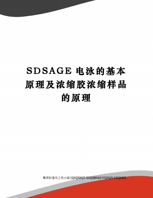 SDSAGE电泳的基本原理及浓缩胶浓缩样品的原理