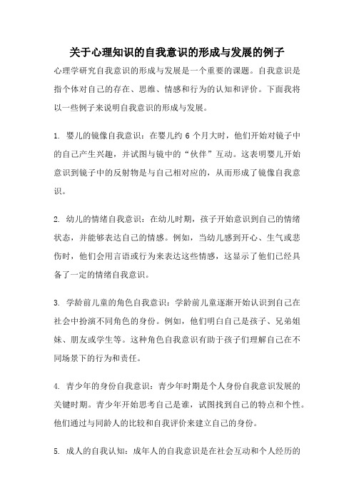 关于心理知识的自我意识的形成与发展的例子