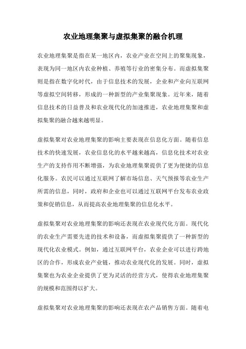 农业地理集聚与虚拟集聚的融合机理