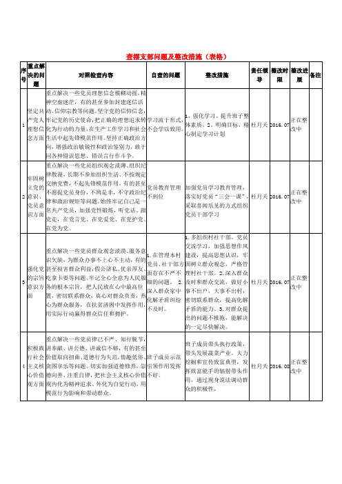 查摆支部问题及整改措施(表格)