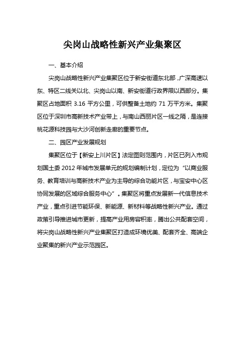 尖岗山战略性新兴产业集聚区