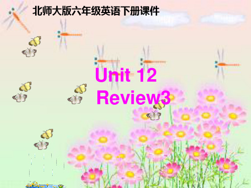 六级英语下册 unit12(2)课件 北师大(通用)