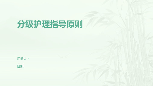 分级护理指导原则