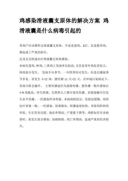 鸡感染滑液囊支原体的解决方案 鸡滑液囊是什么病毒引起的