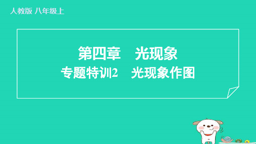 2024八年级物理上册第四章光现象专题特训2光现象作图习题课件新版新人教版