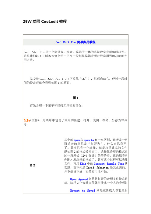 29W爱网CooLedit教程