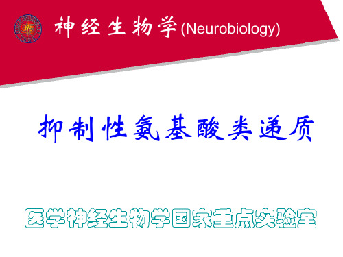 神经生物学课件 抑制性氨基酸类递质