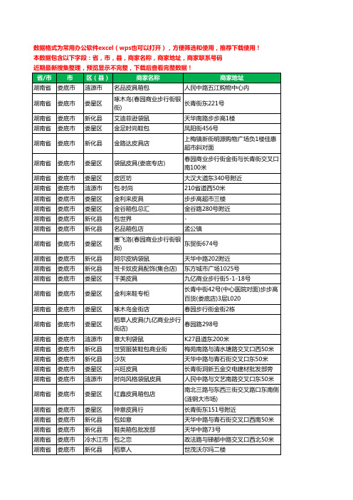 2020新版湖南省娄底市箱包工商企业公司商家名录名单黄页联系电话号码地址大全56家