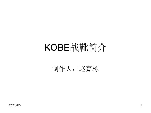 KOBE战靴简介